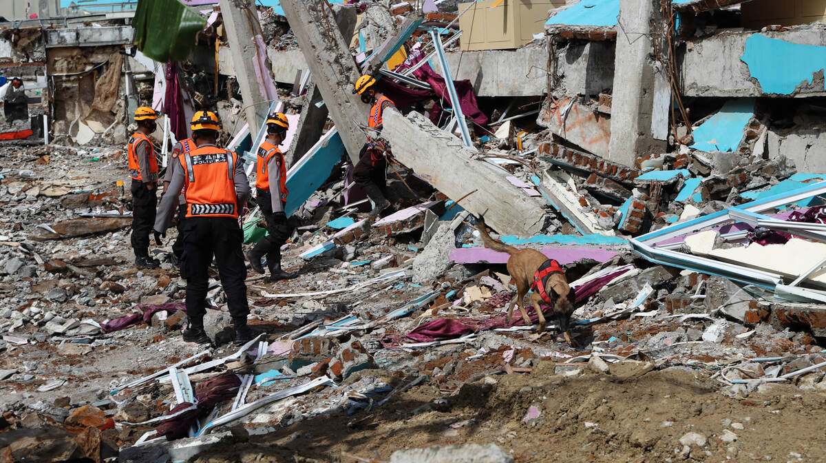 How Recent Earthquakes Affect Public Policy - FactCheckWa.org